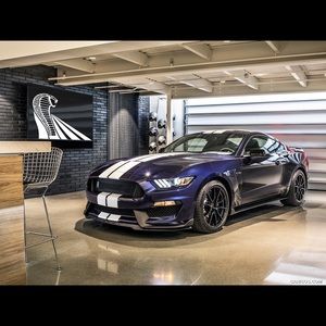 Meet your Posher, Armando